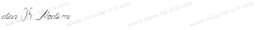 dian 05 Medium字体转换